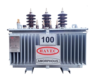 MÁY BIẾN ÁP AMORPHOUS 100KVA - 22/0,4KV MÁY BIẾN ÁP AMORPHOUS 100KVA - 22/0,4KV