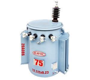 MÁY BIẾN ÁP 1 PHA, 1 SỨ 75KVA